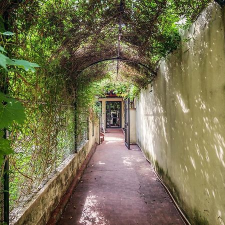 Santa Reparata Apartment With Patio And Terrace Φλωρεντία Εξωτερικό φωτογραφία